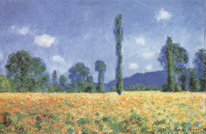 Claude Monet Poppy Field